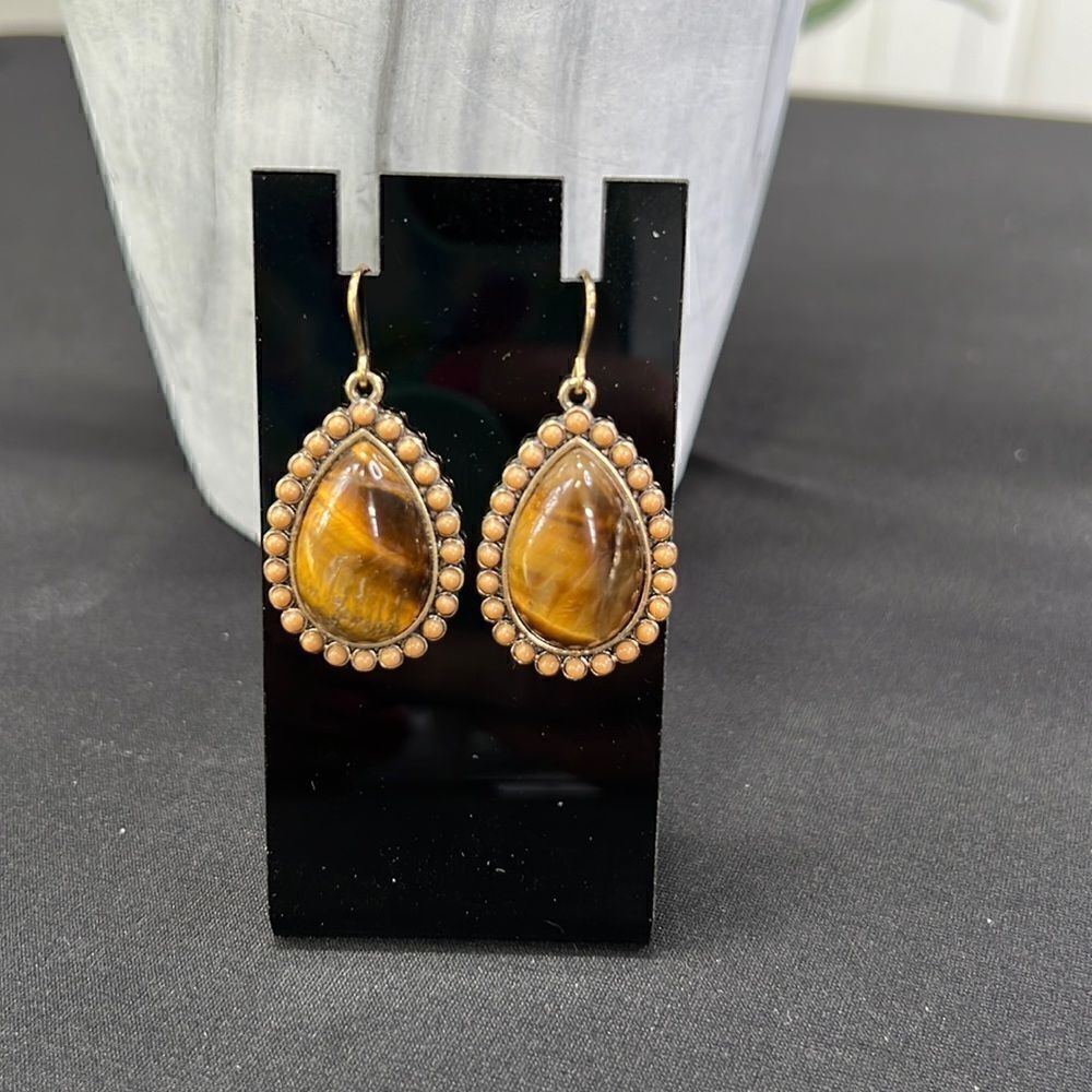 Chaps Amber And Wood and Gold Tone Earrings